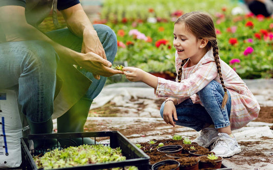 Dicas para fazer uma horta em casa com as crianças