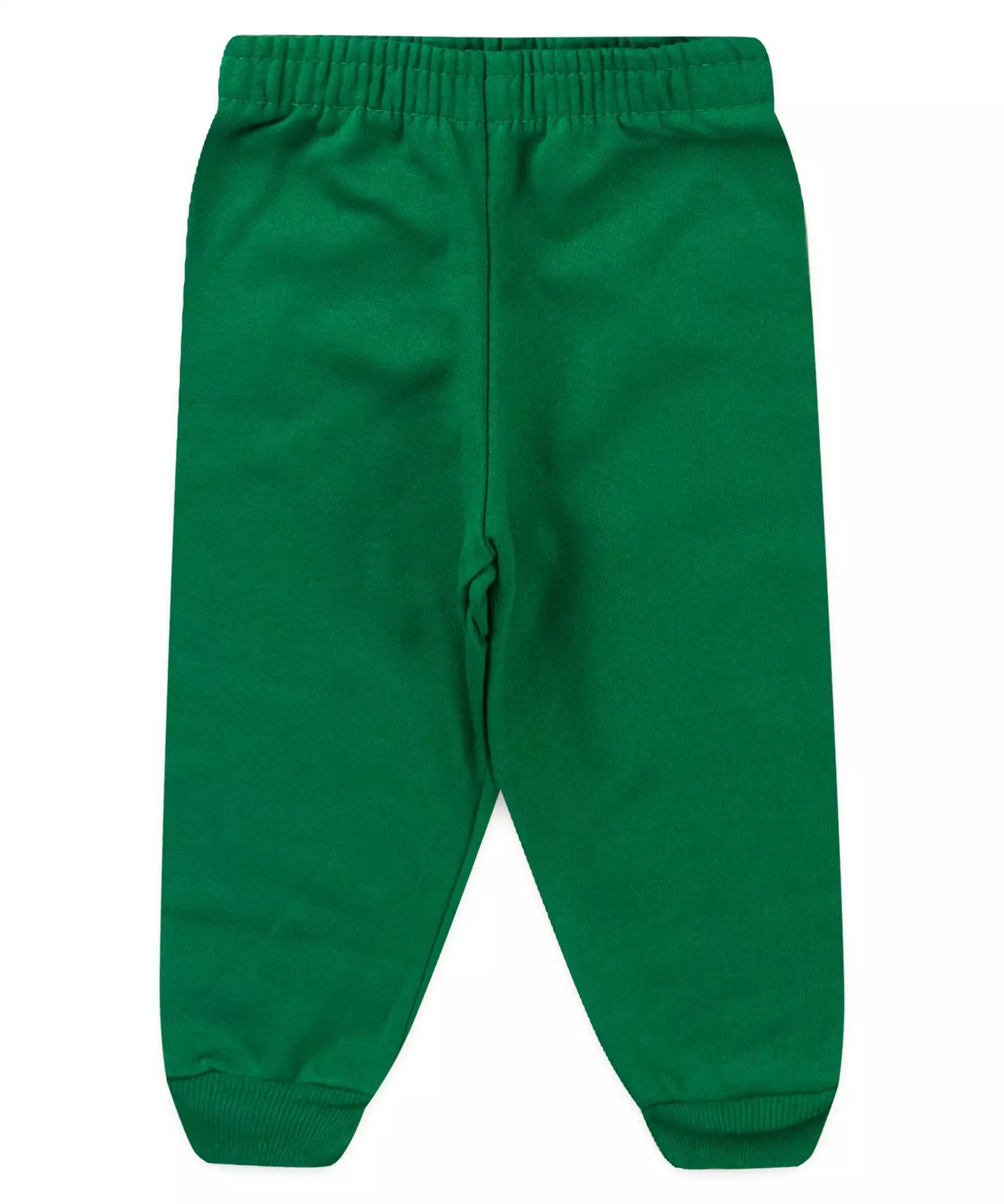 Conjunto de Frio para Bebê Menino Leãozinho Verde