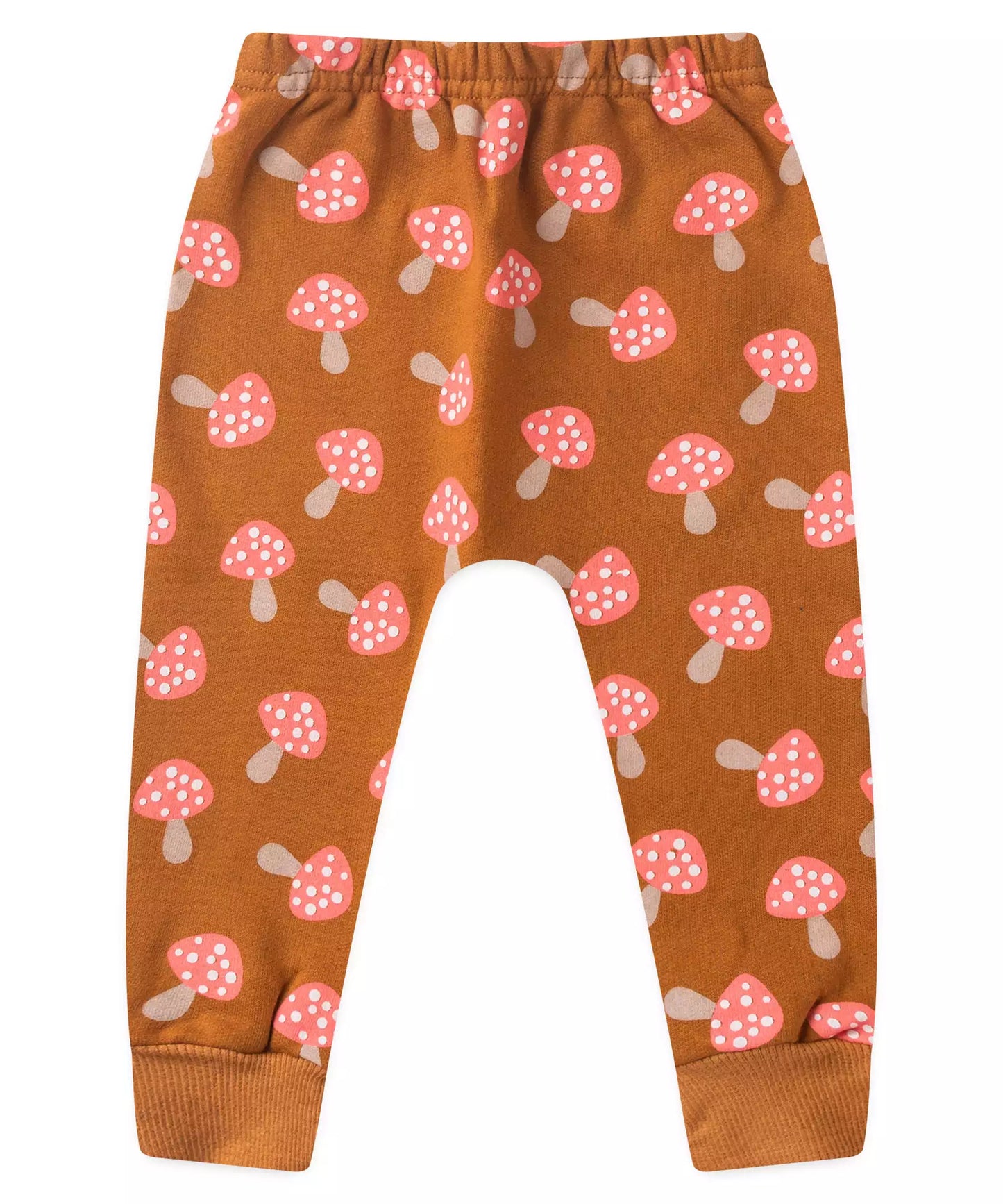 Conjunto de Inverno para Bebê Menina Porco Espinho Marrom