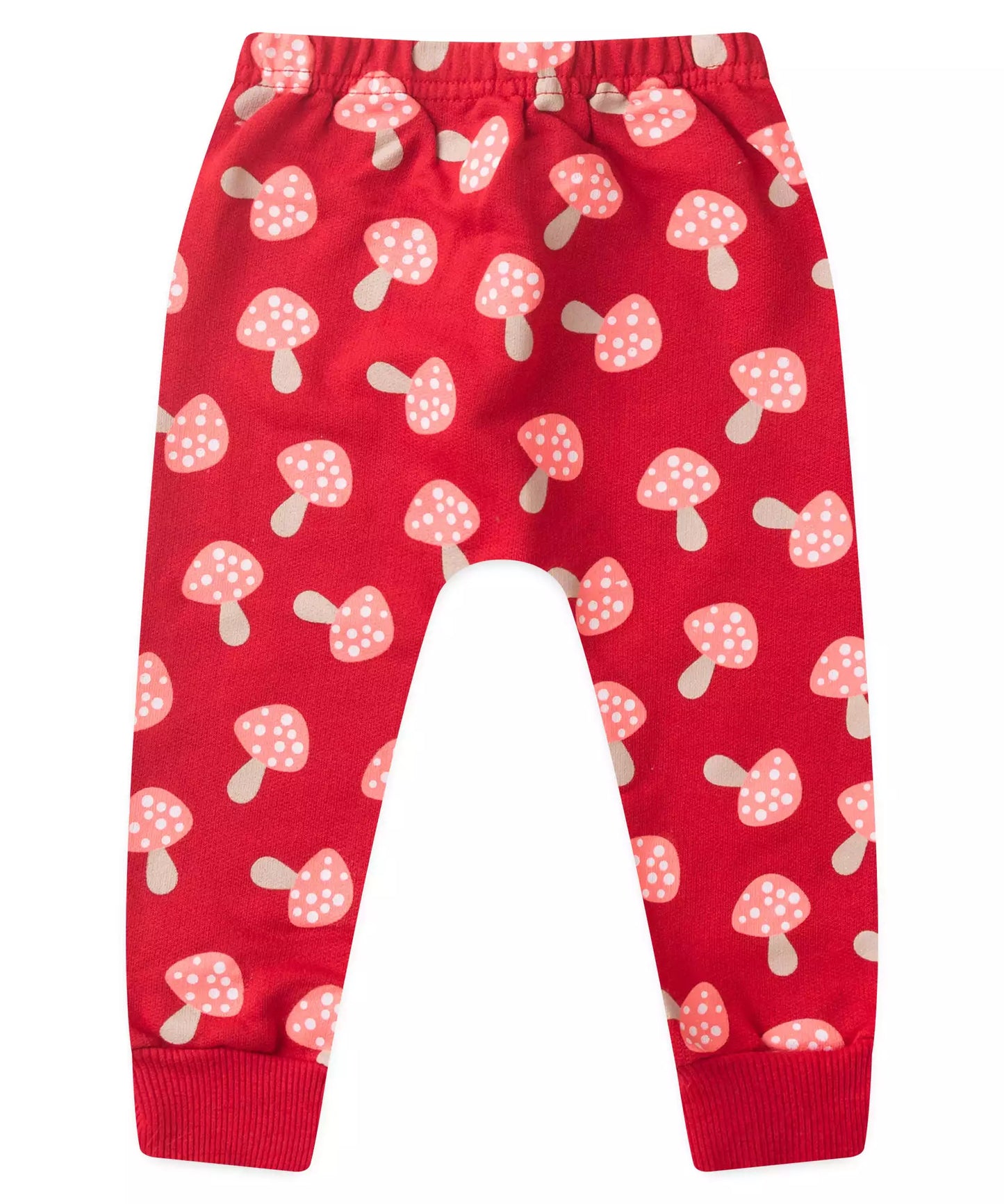 Conjunto de Inverno para Bebê Menina Porco Espinho Vermelho