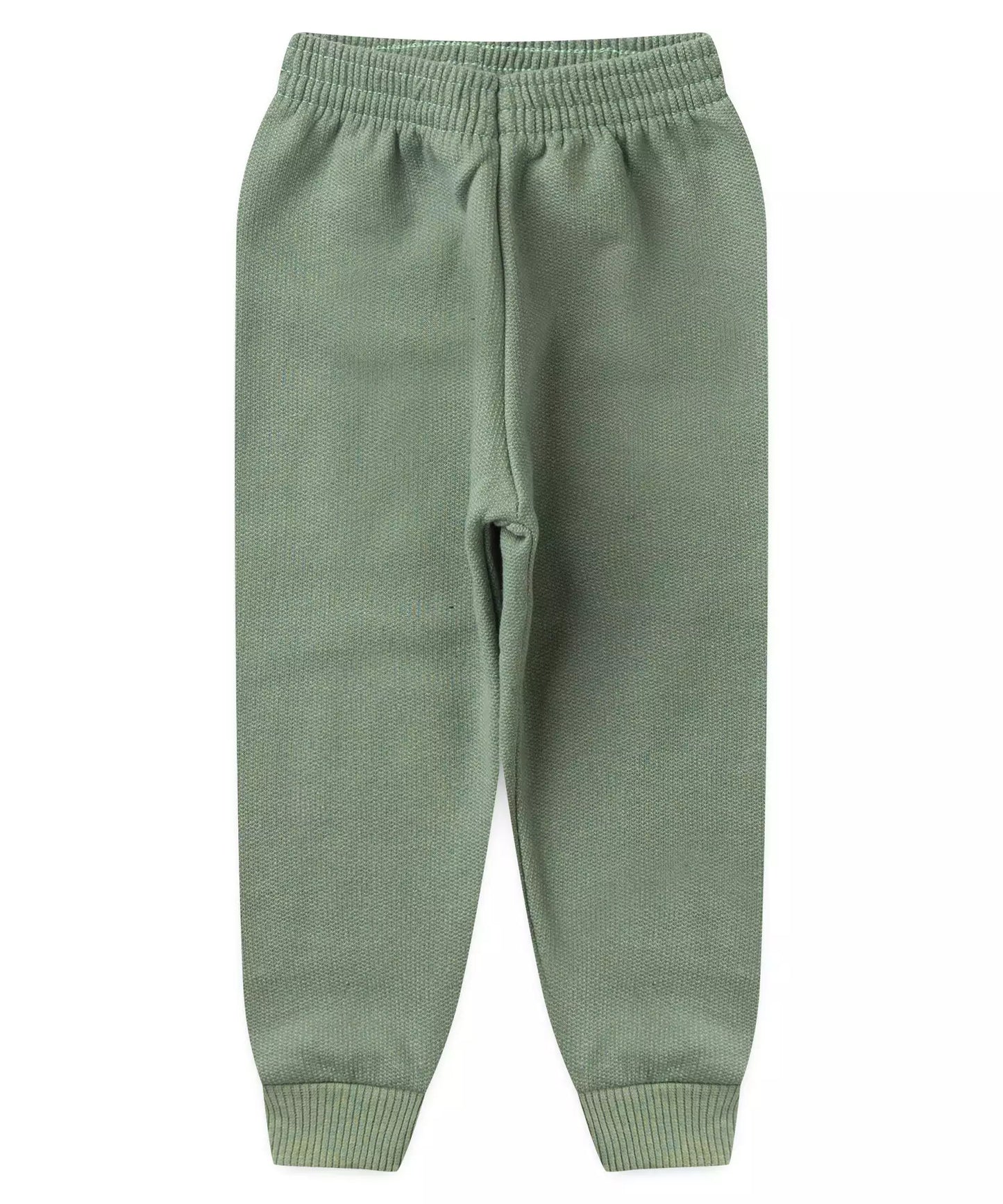 Conjunto de Inverno para Bebê Menino Leãozinho Mescla