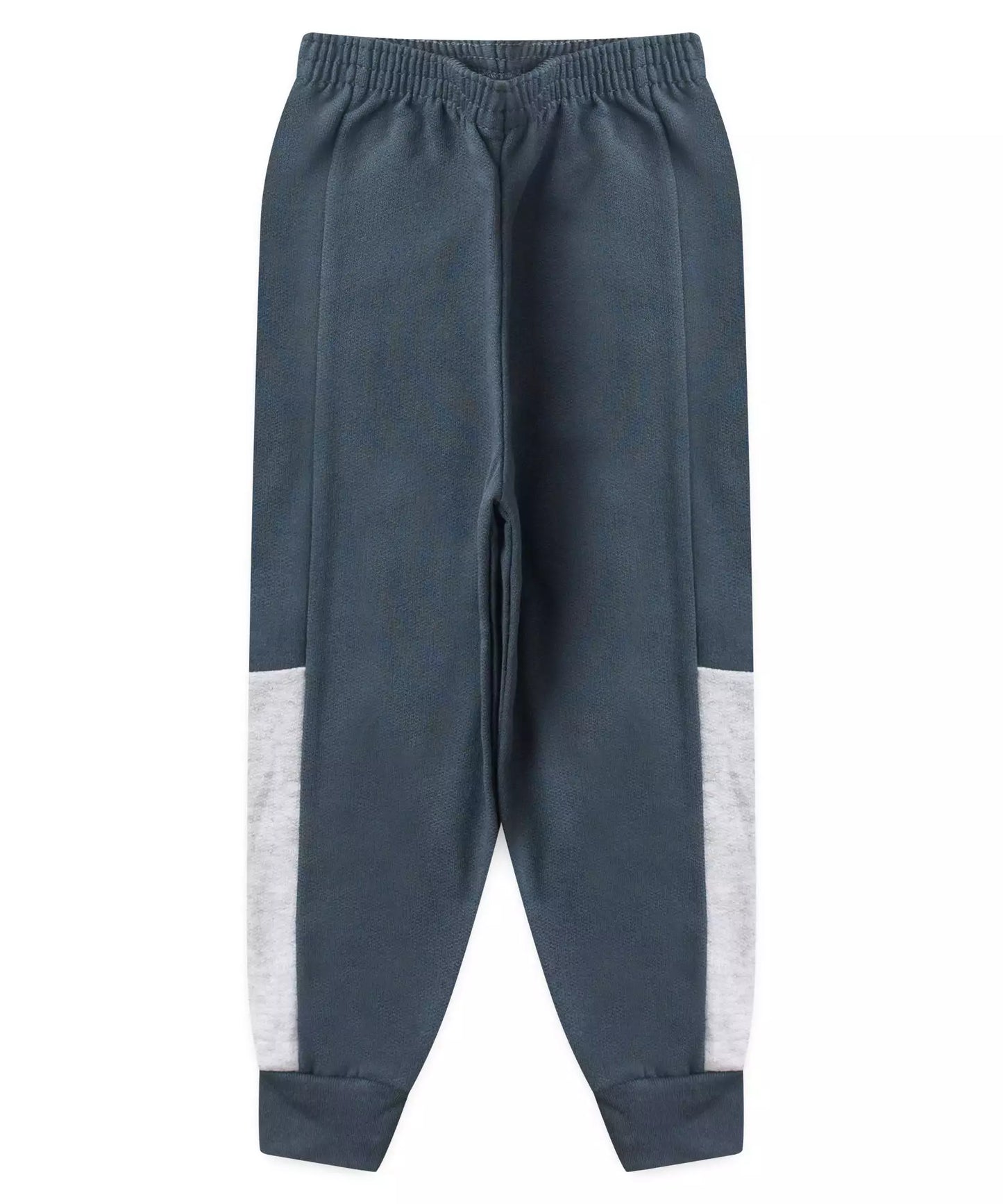 Conjunto de Inverno para Menino Triceratops Chumbo