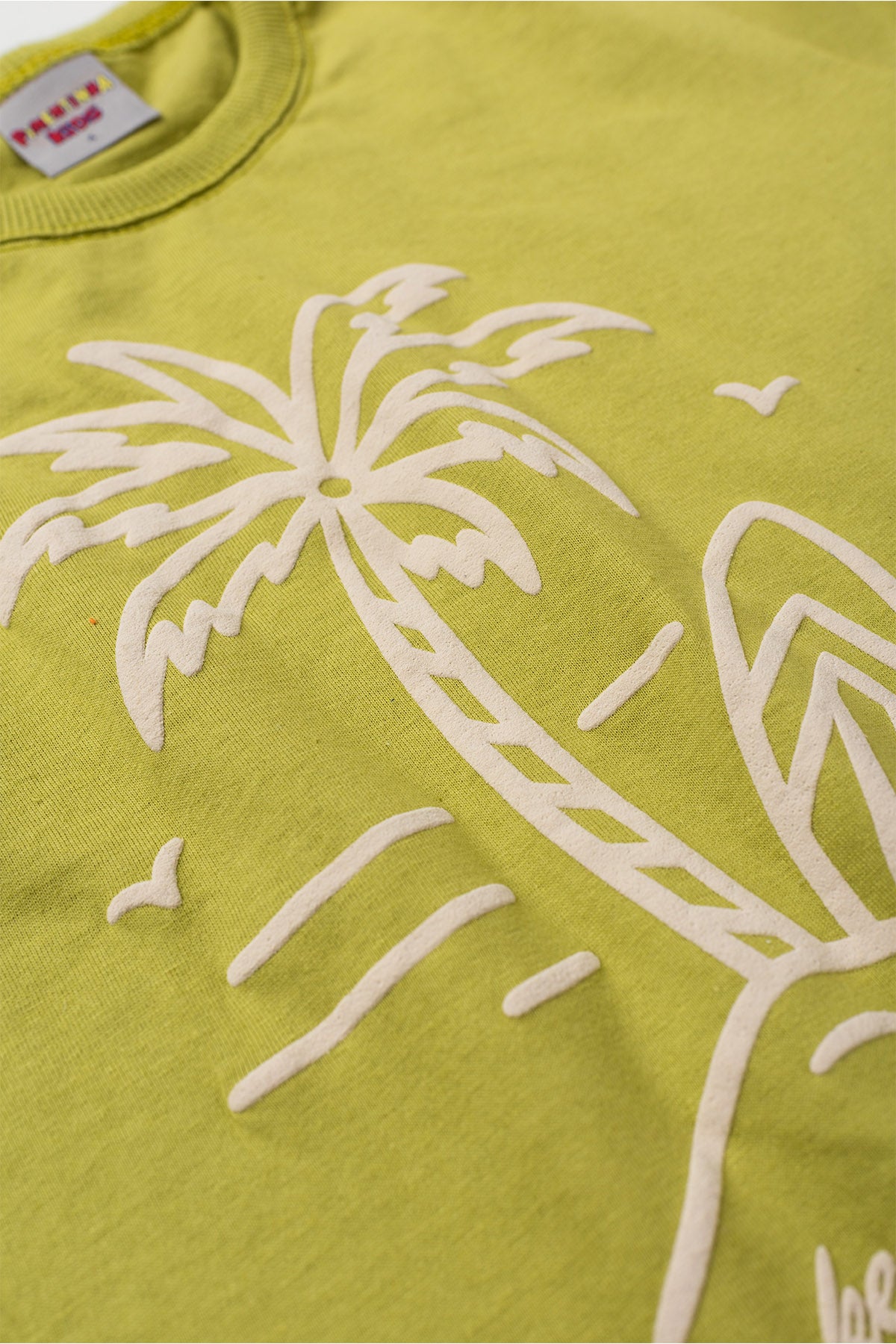Conjunto de Verão para Menino Ilha Tropical Verde