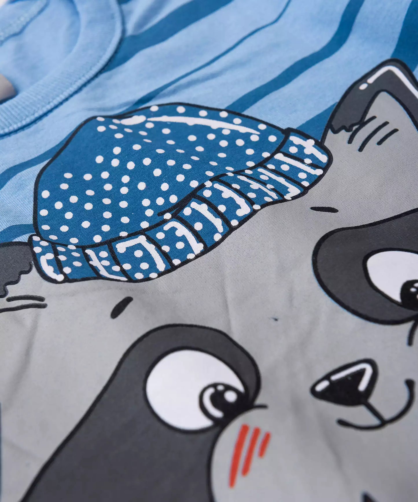 Camiseta Manga Longa para Menino Guaxinim Azul