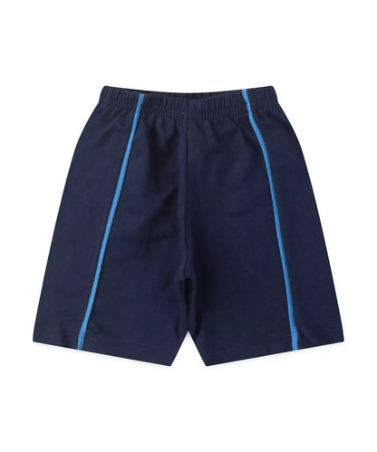 Conjunto Curto Infantil Masculino Dino Azul