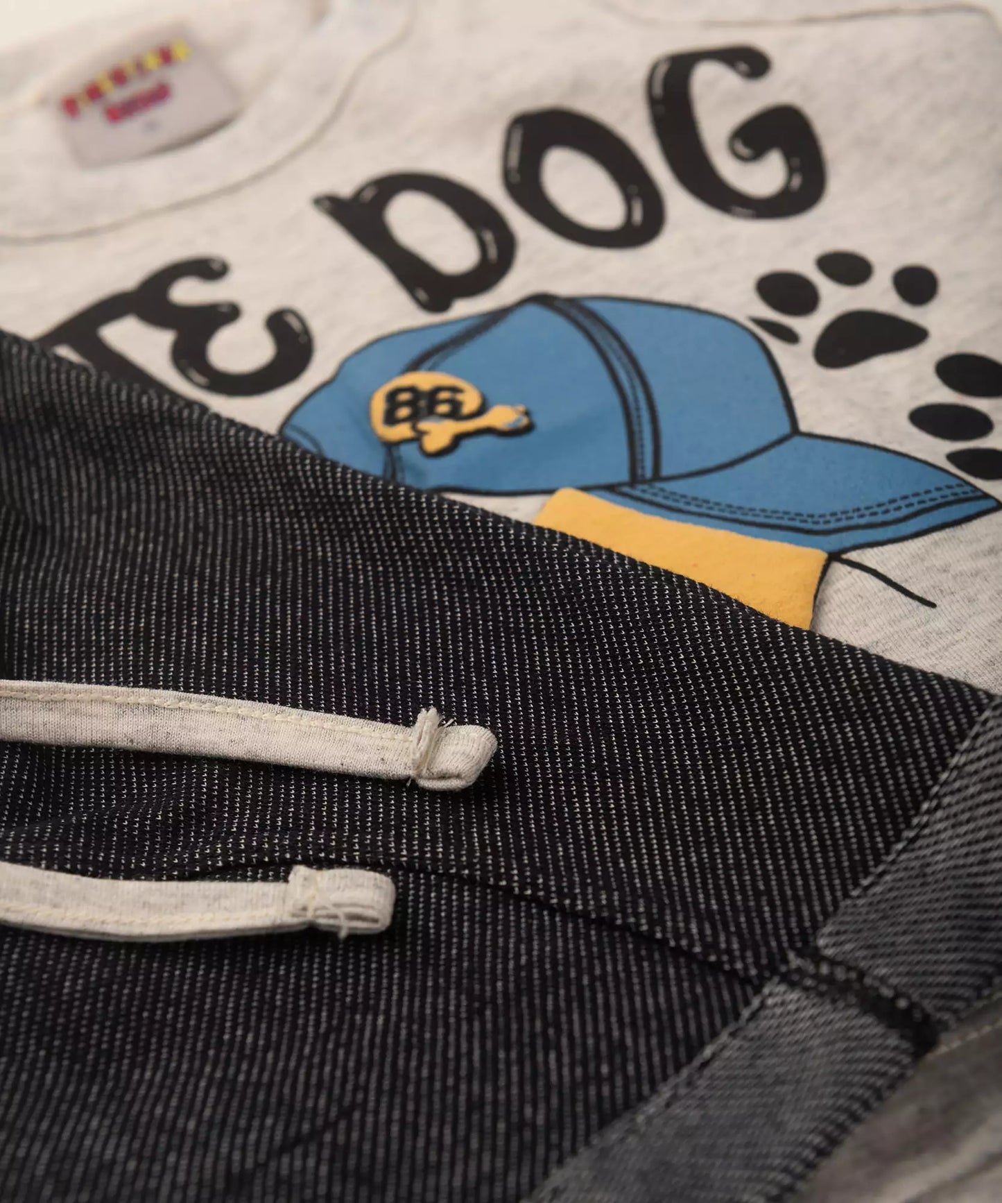 Conjunto Curto para Bebê Menino Mescla Cachorro