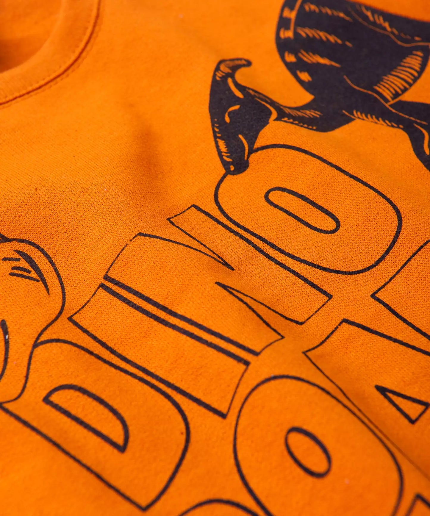 Conjunto de Frio Infantil Masculino Dinossauro Laranja