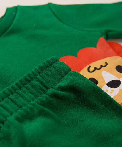 Conjunto de Frio para Bebê Menino Leãozinho Verde
