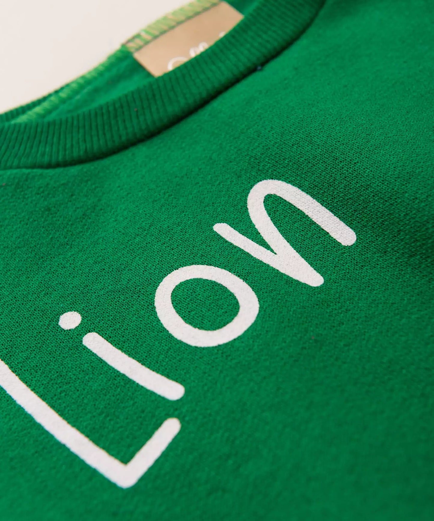 Conjunto de Frio para Bebê Menino Leãozinho Verde