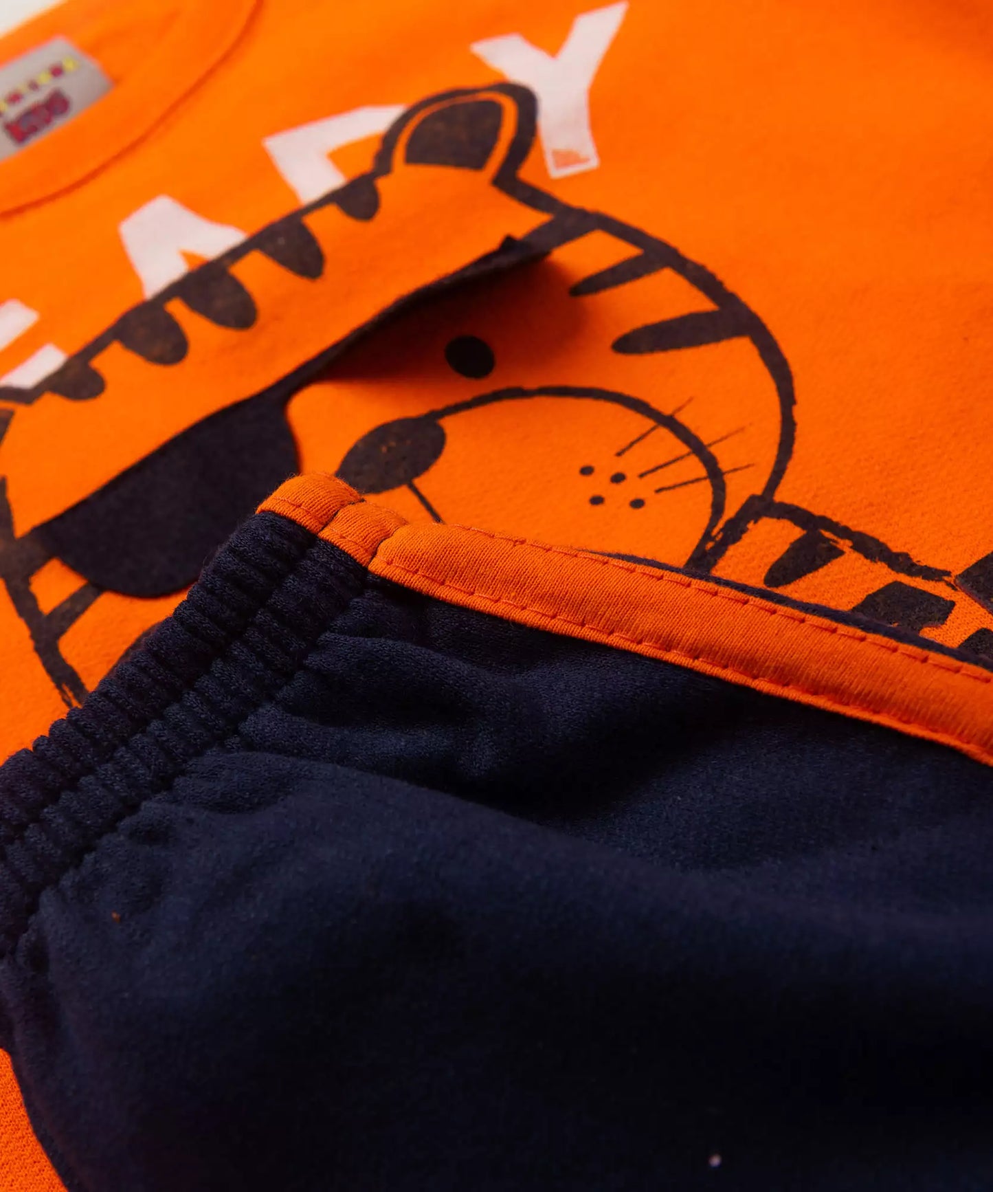 Conjunto de Frio para Bebê Menino Tigre Laranja