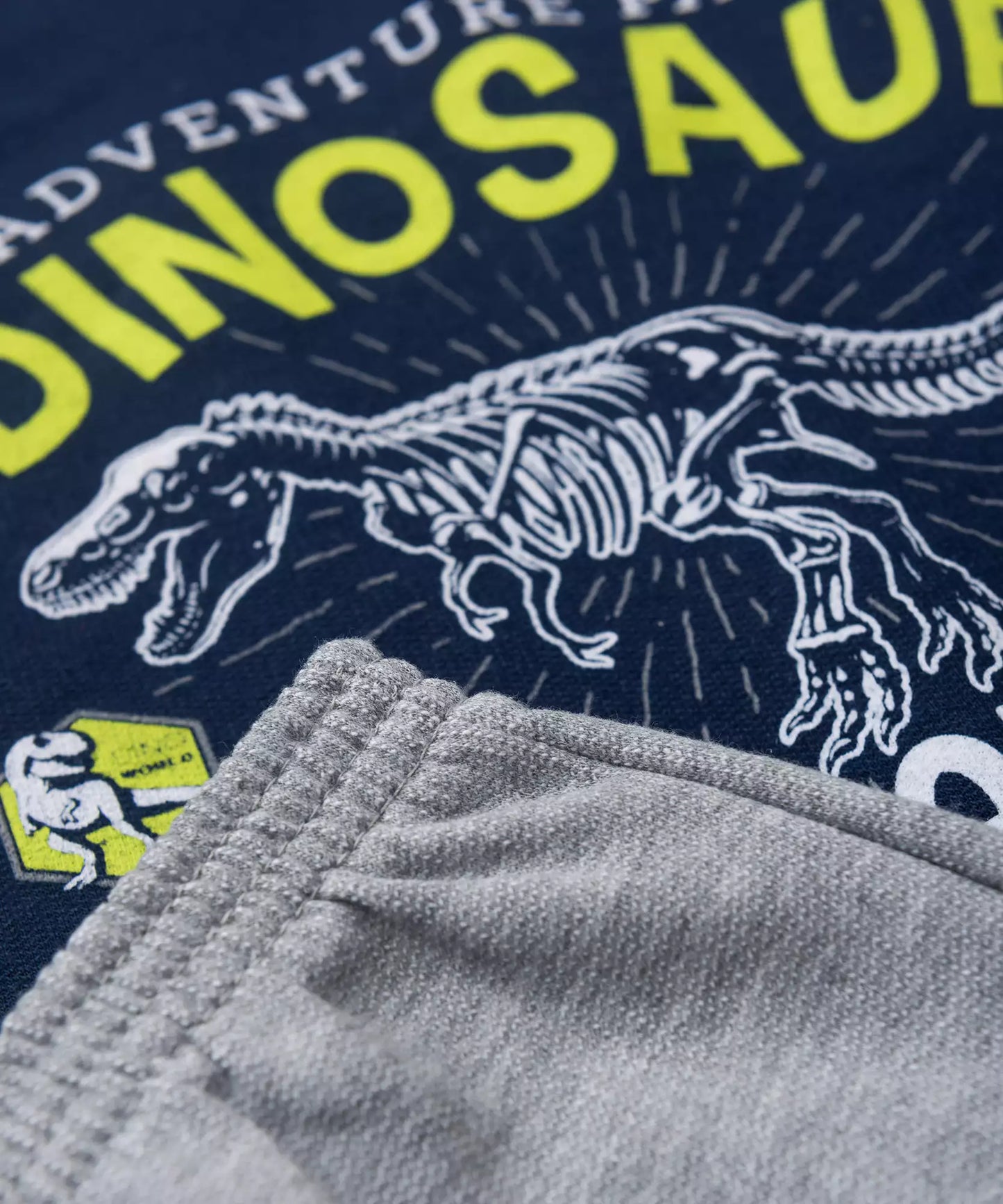 Conjunto de Inverno Infantil Masculino Dino Marinho