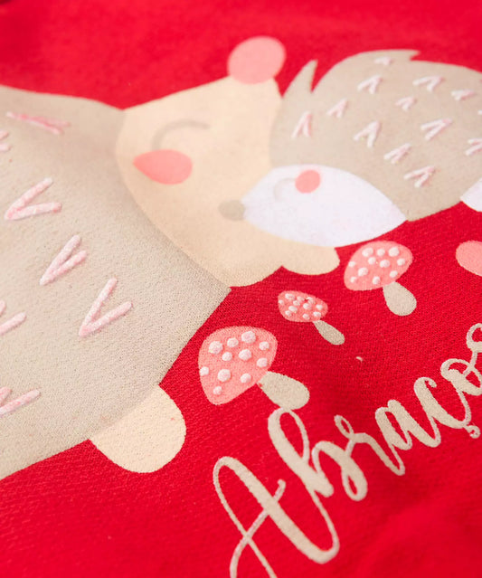 Conjunto de Inverno para Bebê Menina Porco Espinho Vermelho