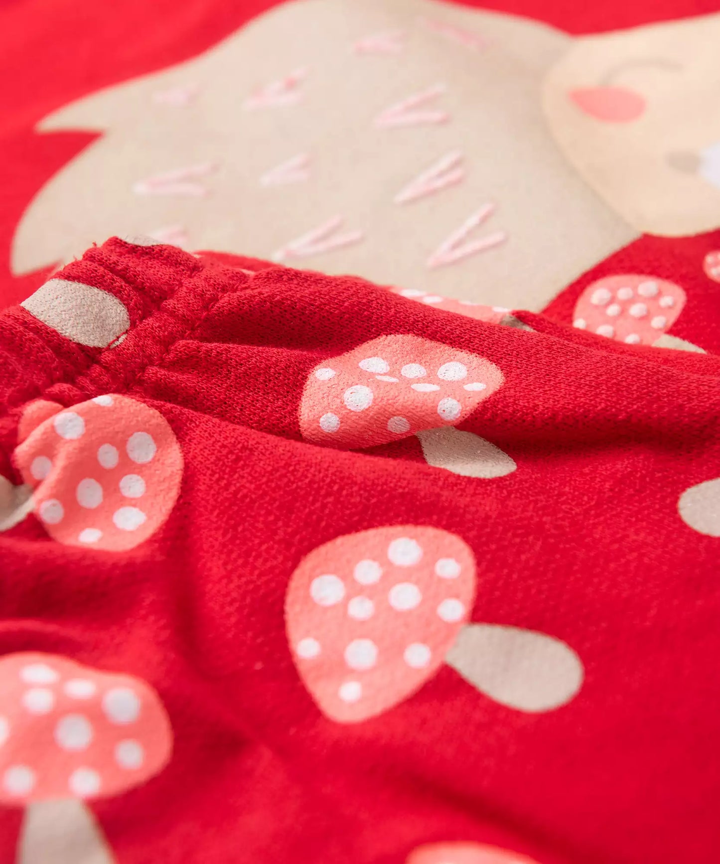 Conjunto de Inverno para Bebê Menina Porco Espinho Vermelho