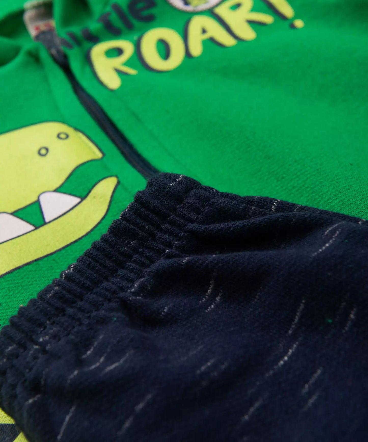 Conjunto de Inverno para Bebê Menino Dinossauro Verde