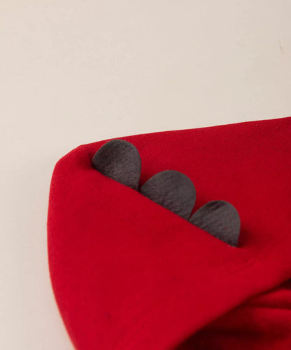 Conjunto de Inverno para Bebê Menino Dinossauro Vermelho
