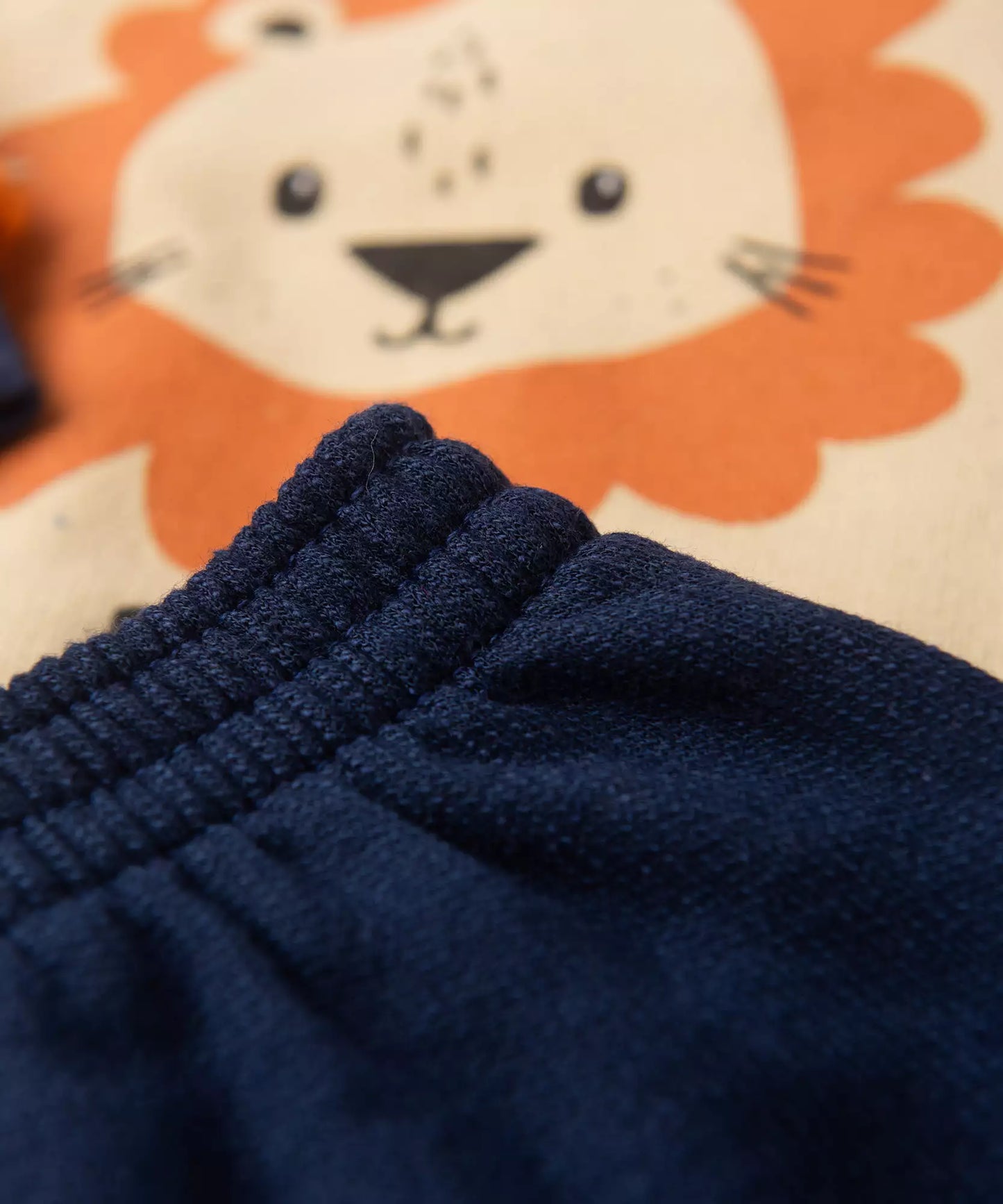 Conjunto de Inverno para Bebê Menino Leãozinho Bege
