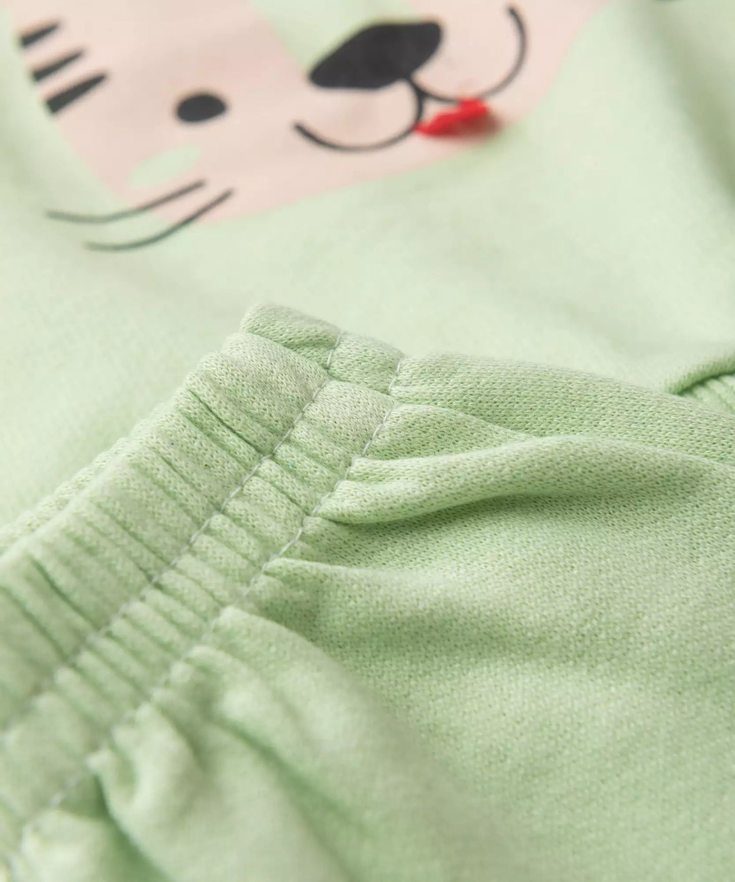Conjunto de Inverno para Bebê Menino Tigre Divertido Verde