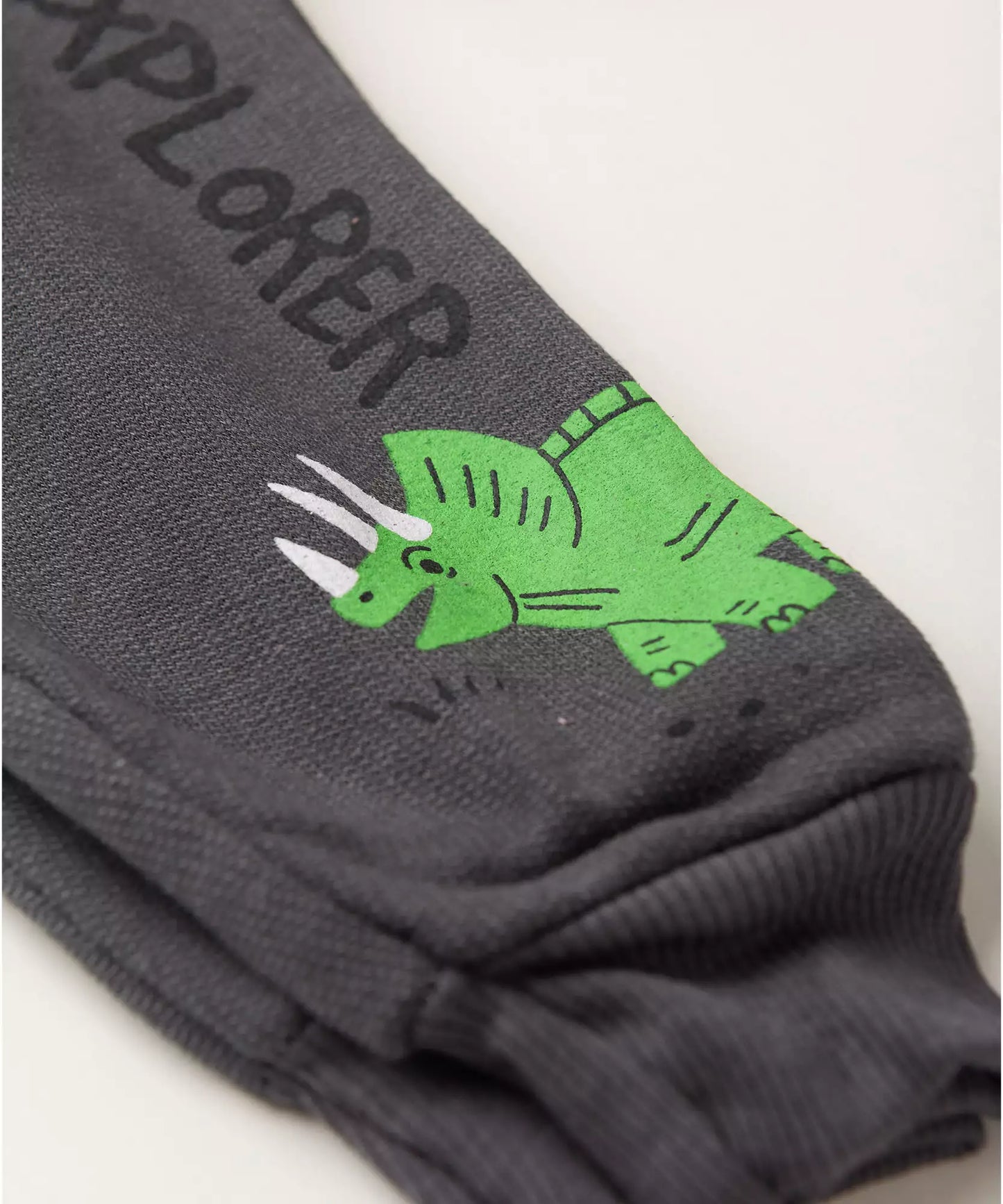 Conjunto de Inverno para Menino Dinossauro no Chumbo
