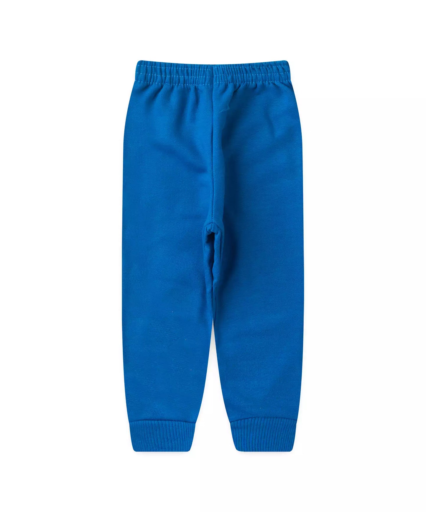 Conjunto de Inverno para Menino Tigrinho Azul