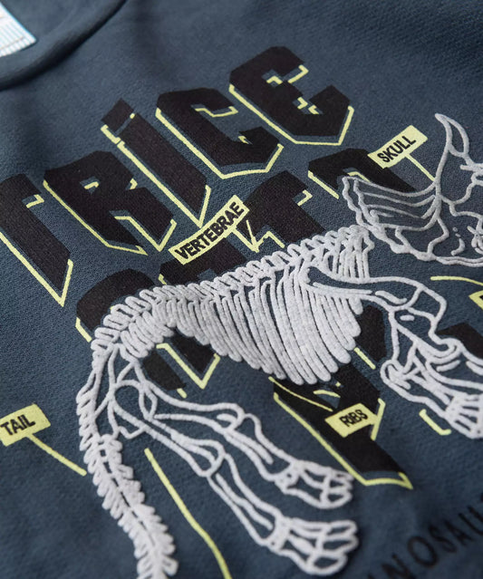 Conjunto de Inverno para Menino Triceratops Chumbo