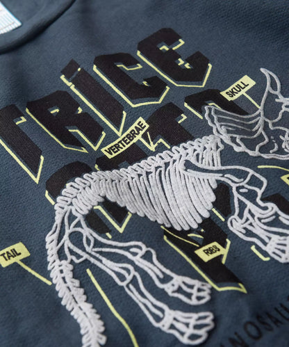 Conjunto de Inverno para Menino Triceratops Chumbo