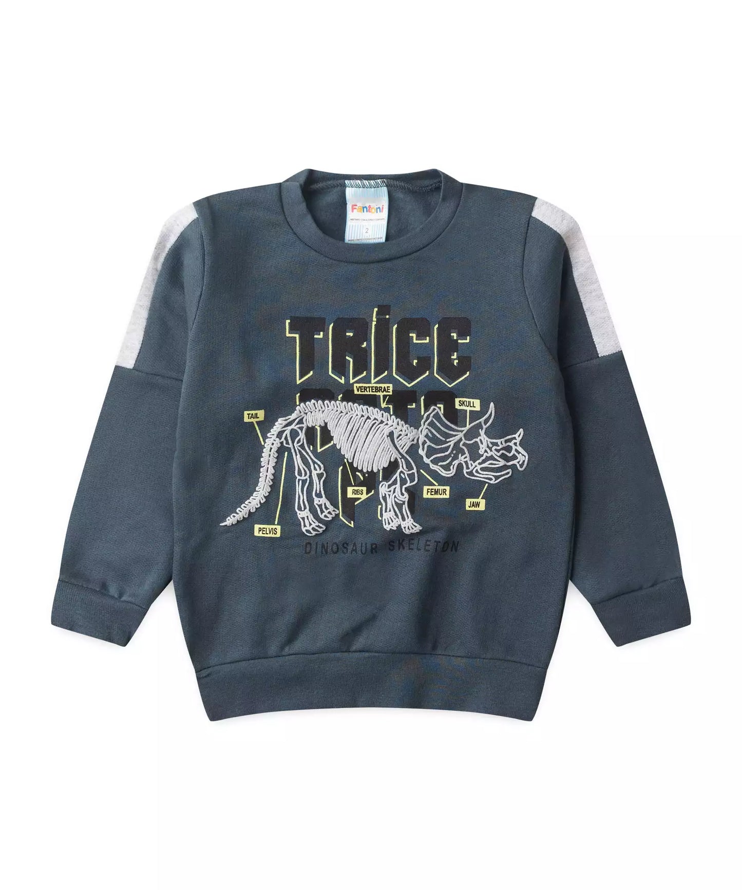 Conjunto de Inverno para Menino Triceratops Chumbo