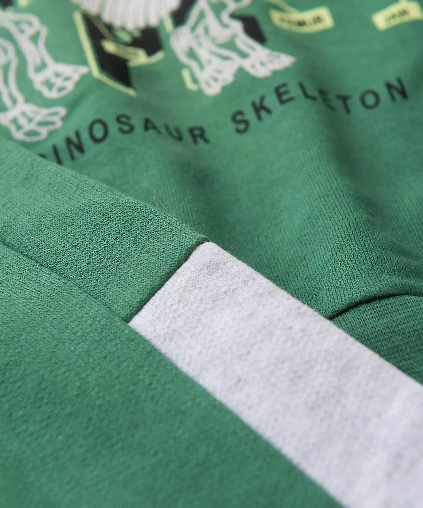 Conjunto de Inverno para Menino Triceratops Verde
