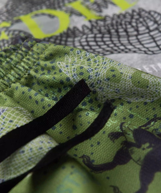 Conjunto de Verão Infantil Masculino Dinossauro em Mescla