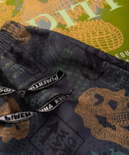 Conjunto de Verão Infantil Masculino Dinossauro cor Verde