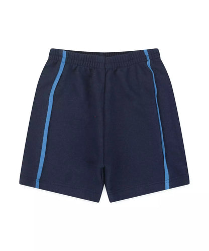 Conjunto de Verão para Bebê Menino Carrinho Azul