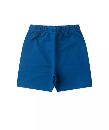 Conjunto de Verão para Bebê Menino Girafa Azul