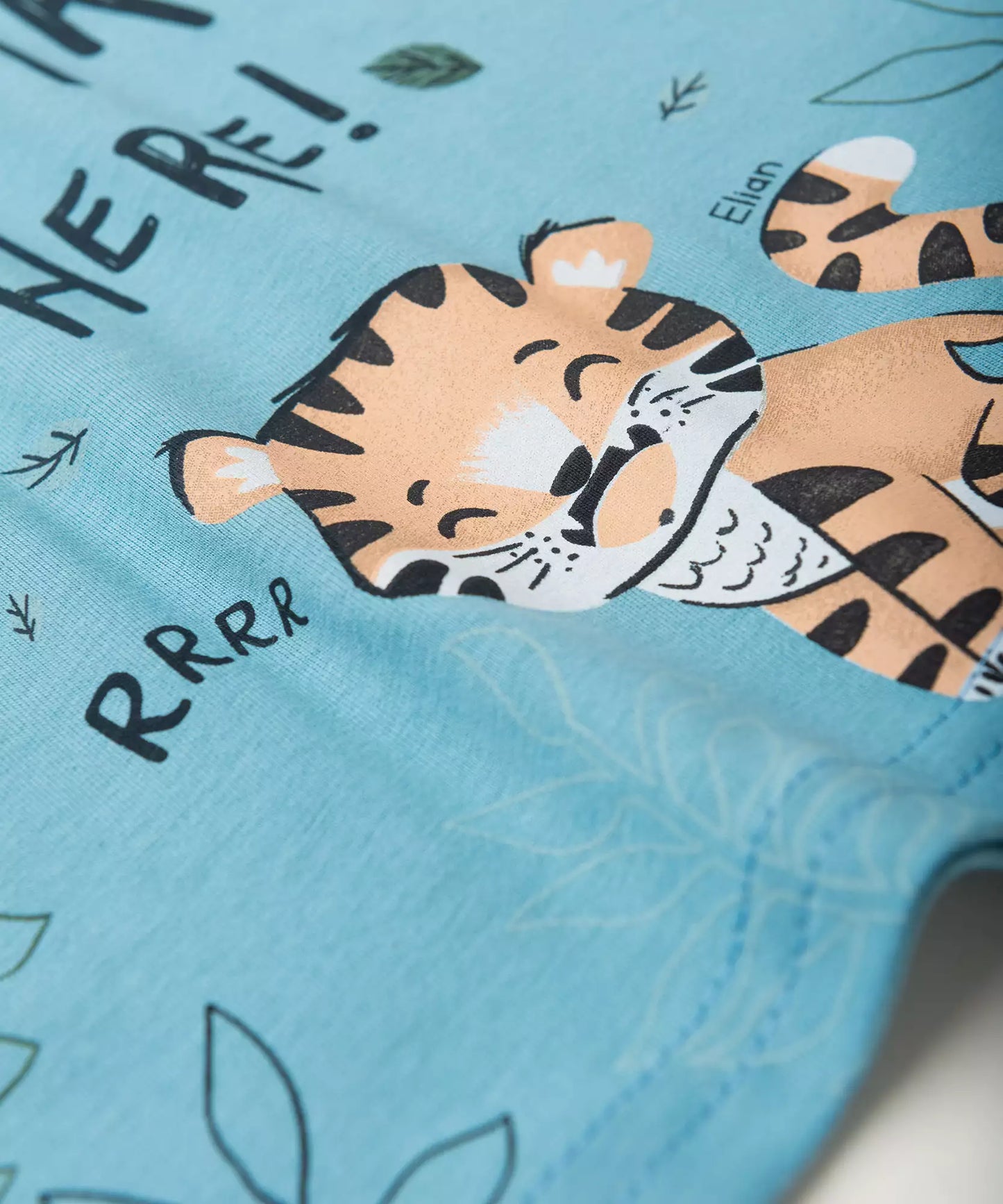 Conjunto de Verão para bebê Menino Tigrinho Azul
