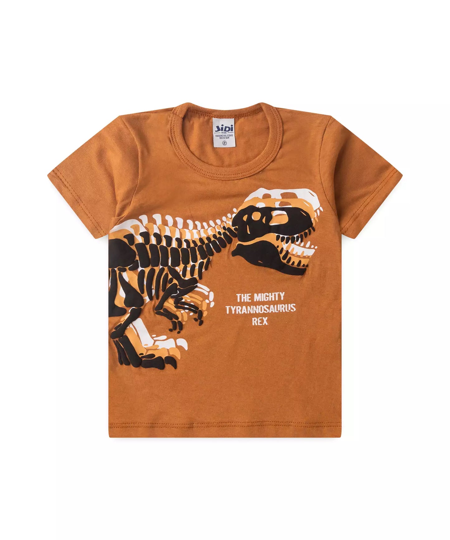 Conjunto de Verão para Menino no Dino em Marrom