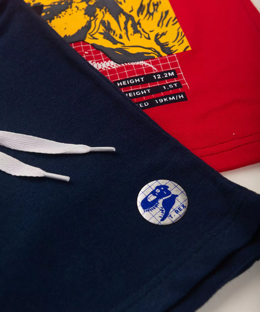Conjunto de Verão para Menino no Dino Vermelho