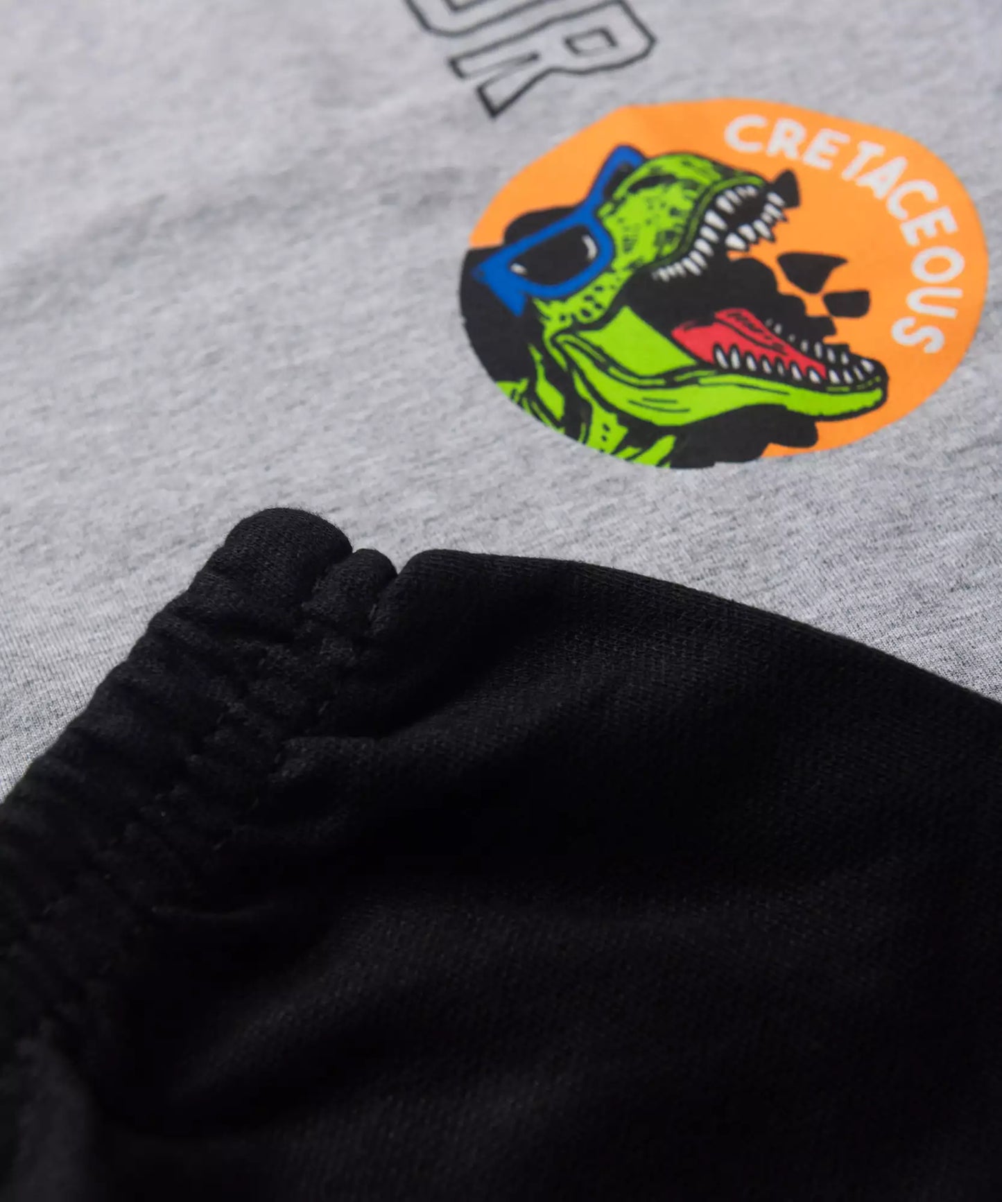 Conjunto de Verão para Menino Dinossaur Mescla