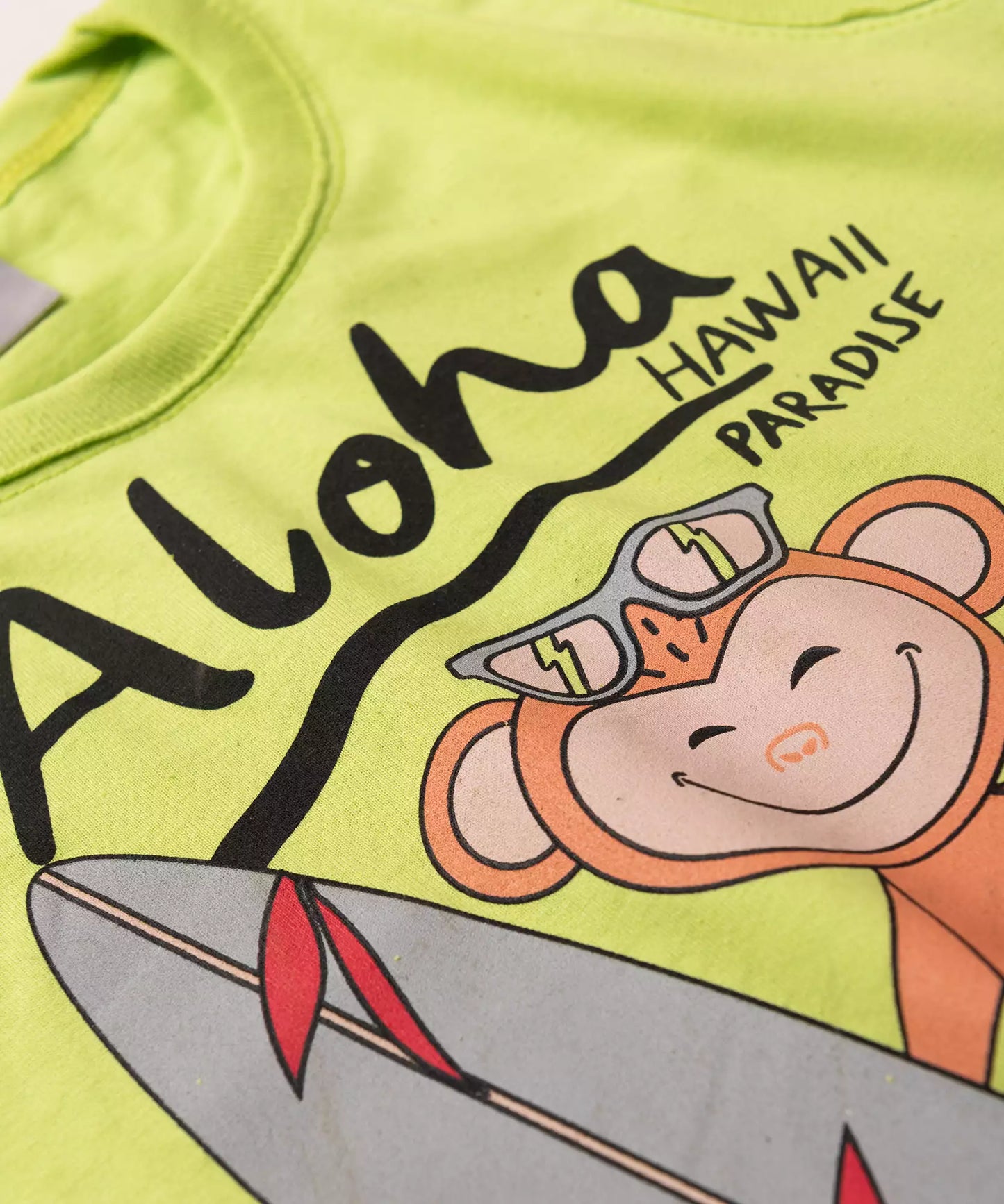 Conjunto de Verão para Menino Macaquinho Verde