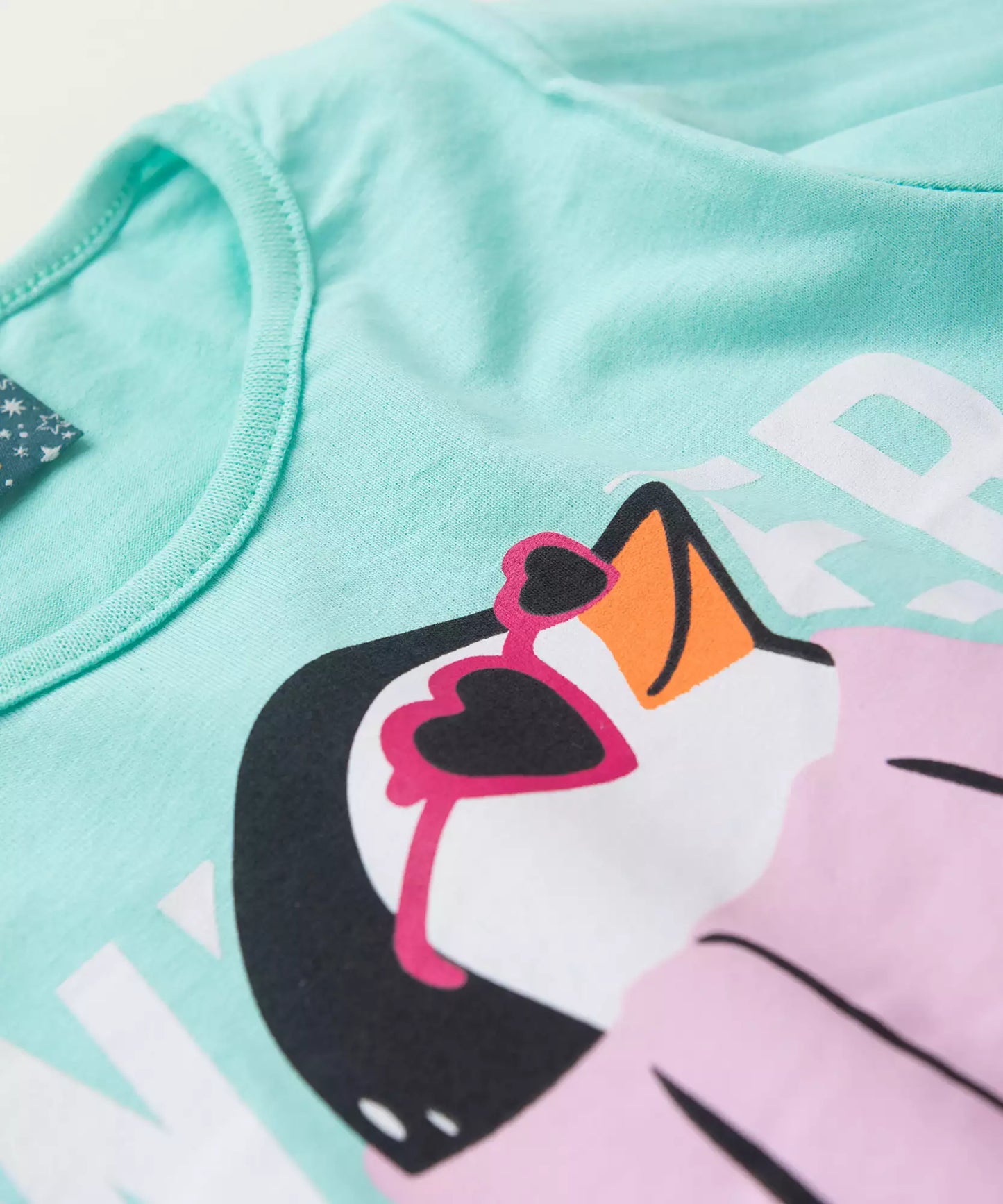 Pijama de Inverno Infantil Feminino Pinguim Verde