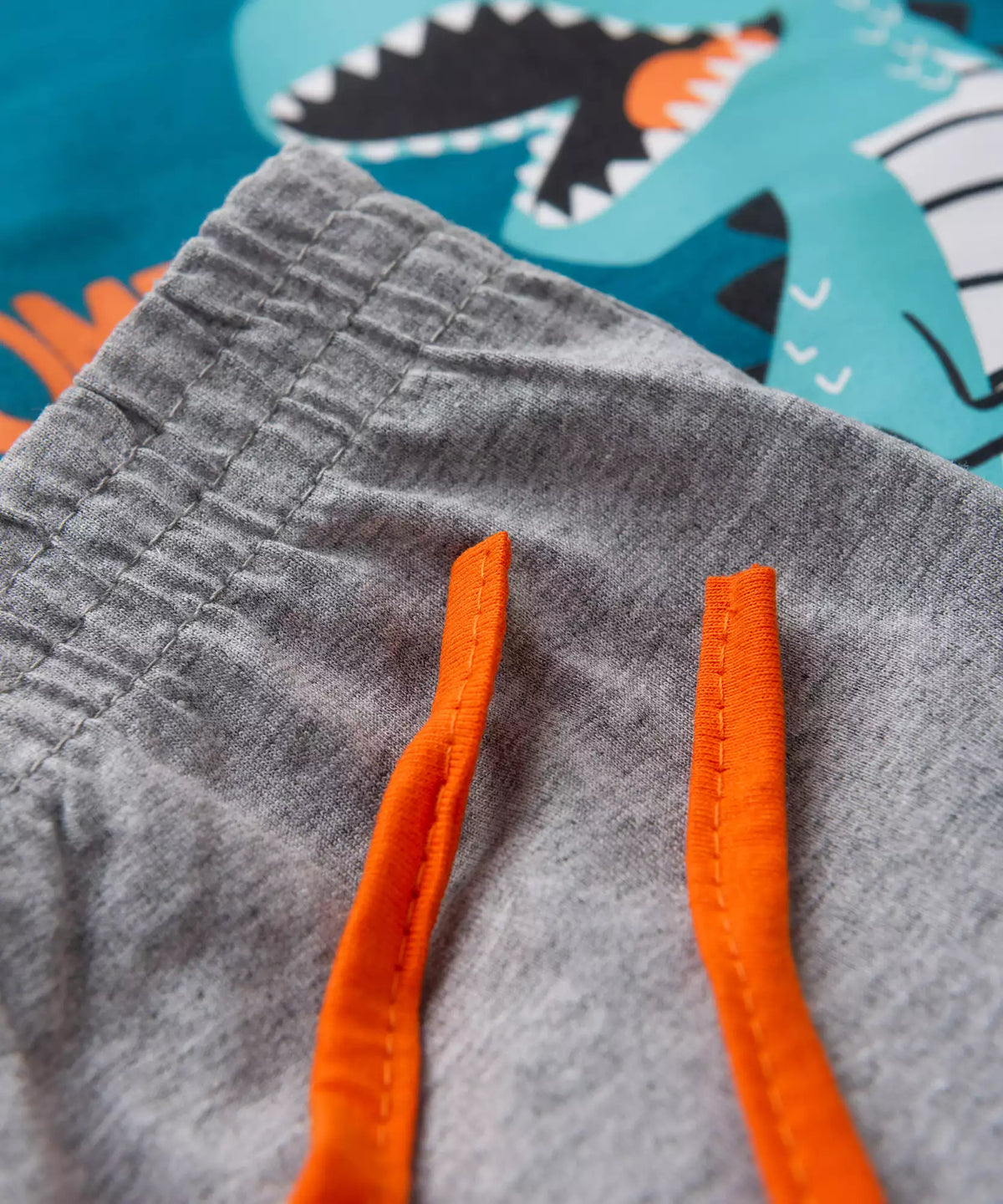 Pijama de Inverno Infantil Masculino Dinossauro Azul